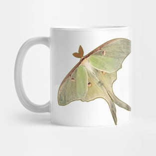 Luna Moth Mug